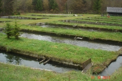 fischzucht_herbst